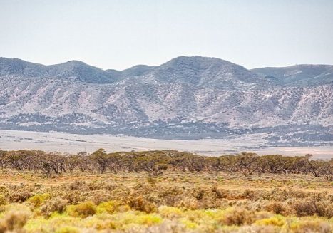 Flinders Ranges - photo by Tim Froling
